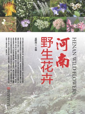 cover image of 河南野生花卉